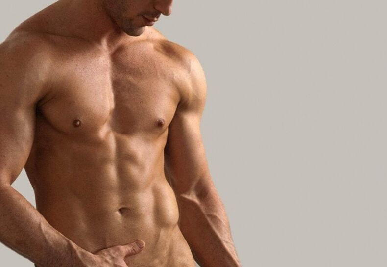 Male bust